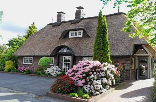 Hotel Blauer Fasan