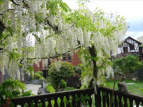 Hotel Rosenhaus Garni