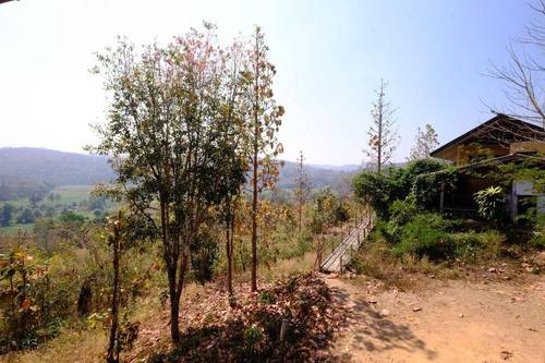 Khunyuam Resort