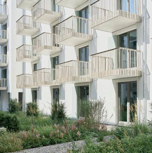 Schwan Locke, Landwehrstrasse