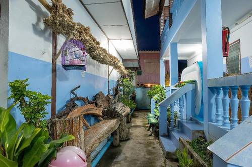 Blue House Pai by ZUZU