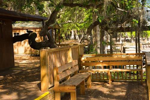 Camp Mack, a Guy Harvey Lodge, Marina & RV Resort
