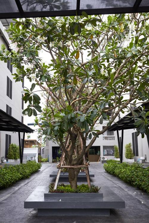 Almas Hotel Bangkok
