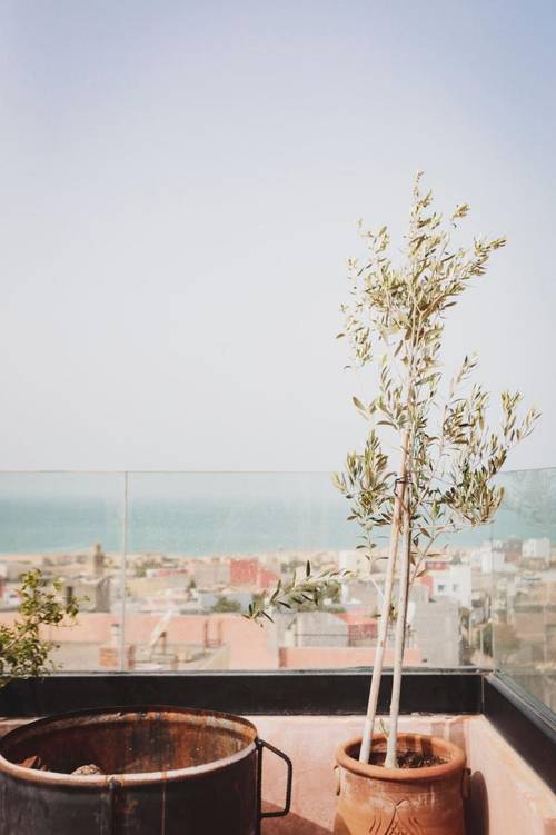 Riad Dlim