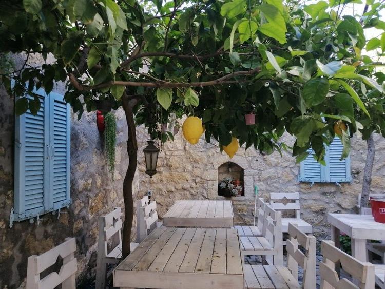 Kaktüshan  Otel