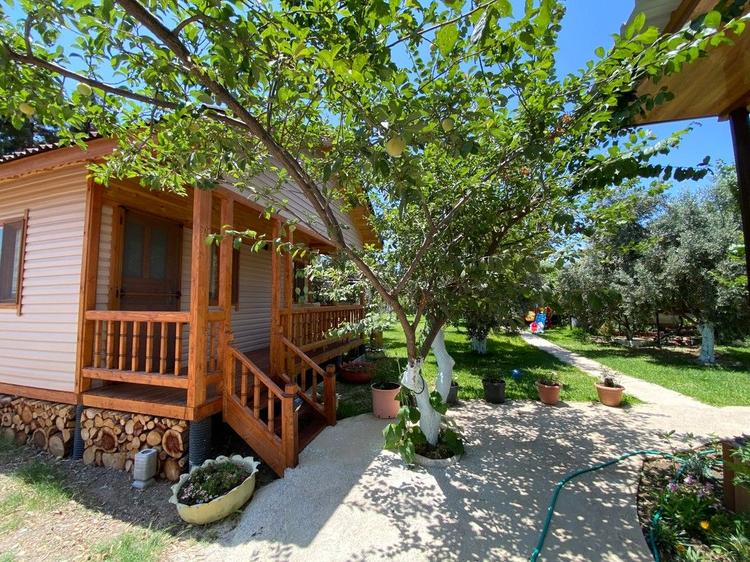Olive Bungalov