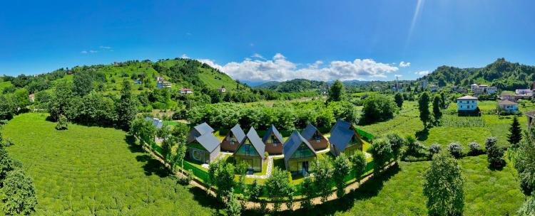 Greenparadise
