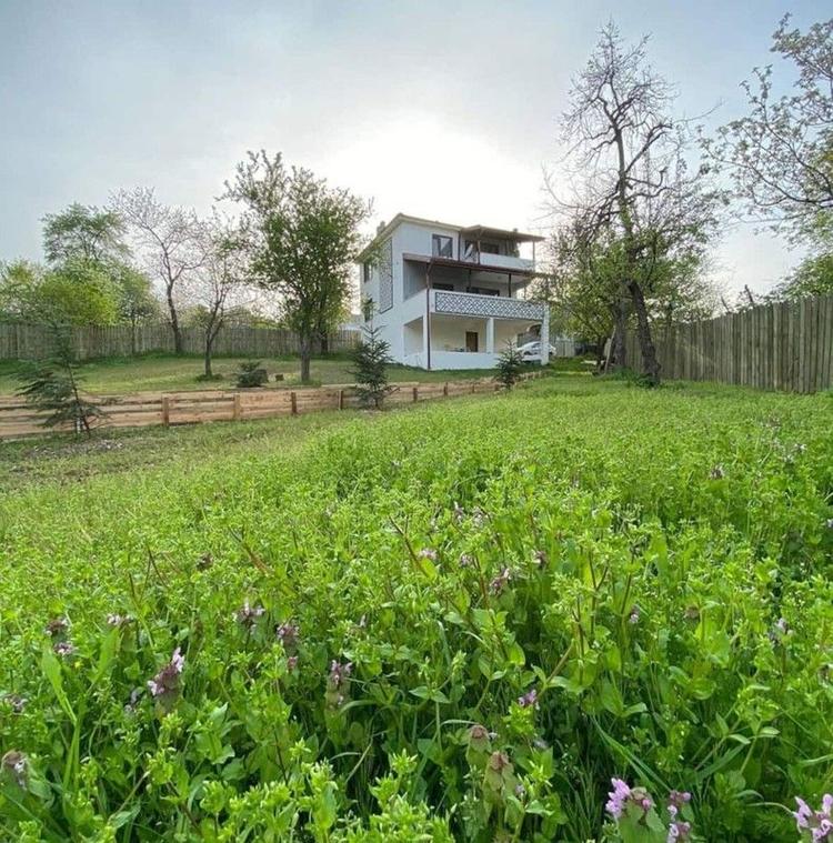 Sapanca Mohti Villa