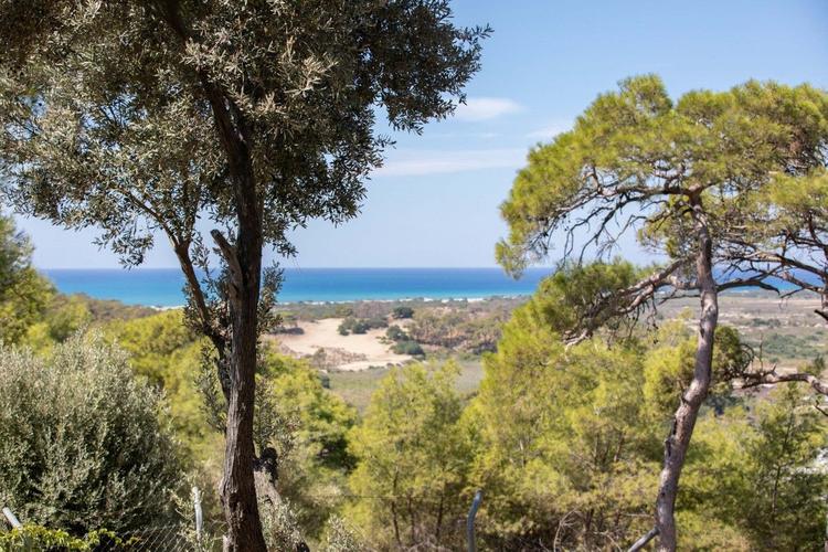 Carlotta 1 | Kaş