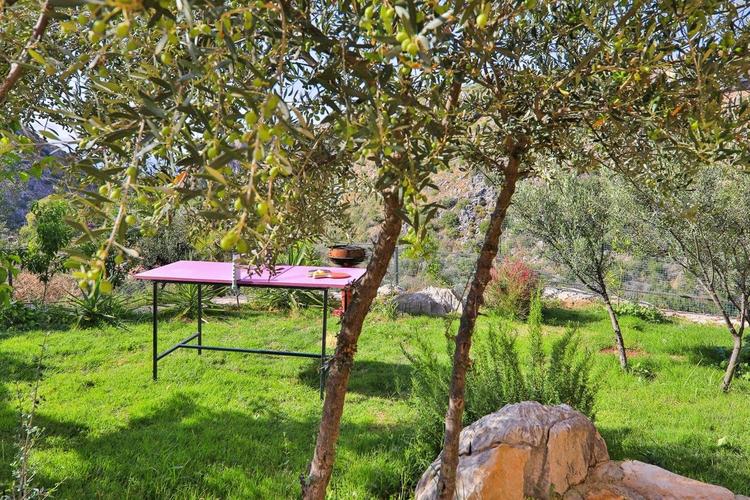 Villa Ağaç 1