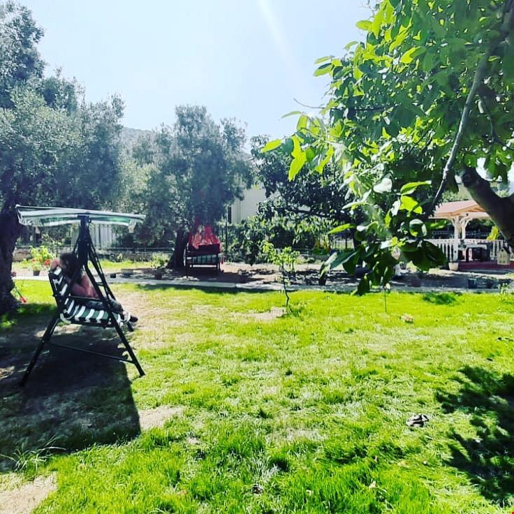 Adasu Otel