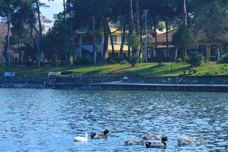 Çamlık Motel