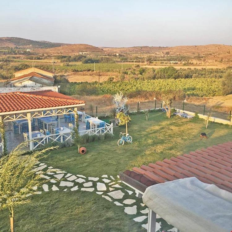 Çapari Bozcaada
