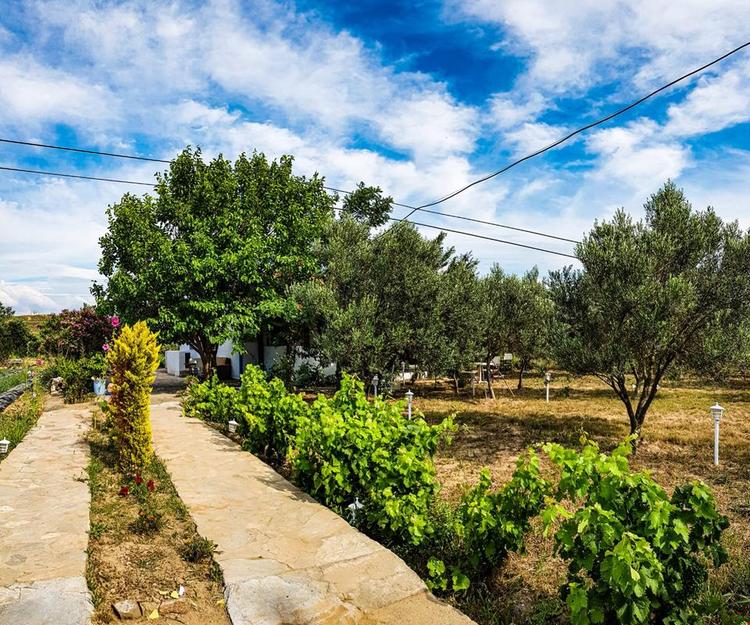 Tenedos Bağ Evi
