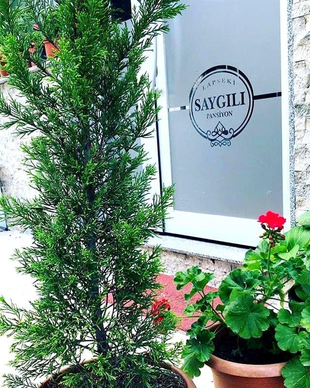 Saygılı Pan-Hotel