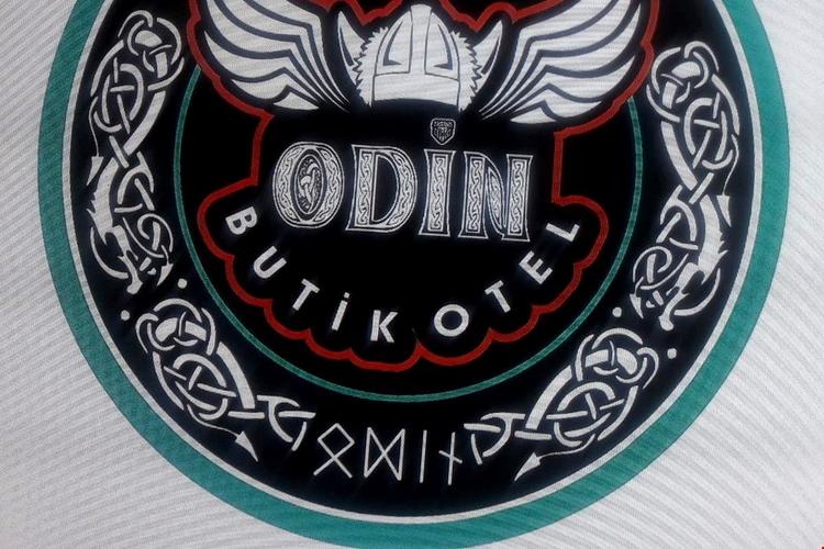 Odin Vili