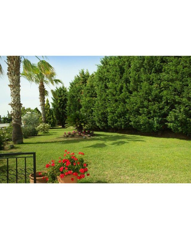 Villa Rana