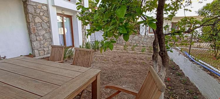 Lemon Garden Apart