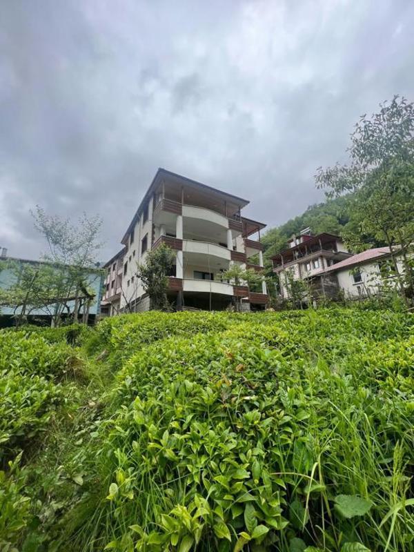 Serona Bungalow
