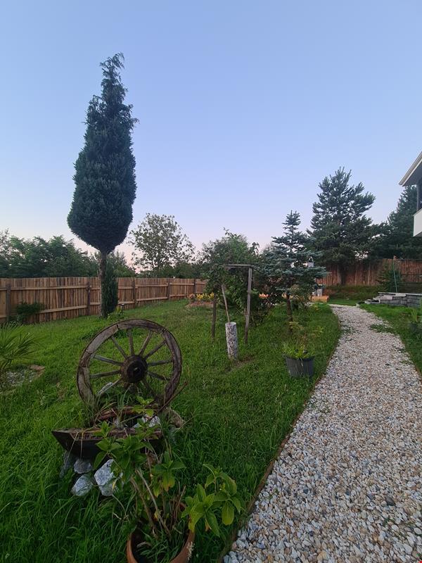 White Home Sapanca