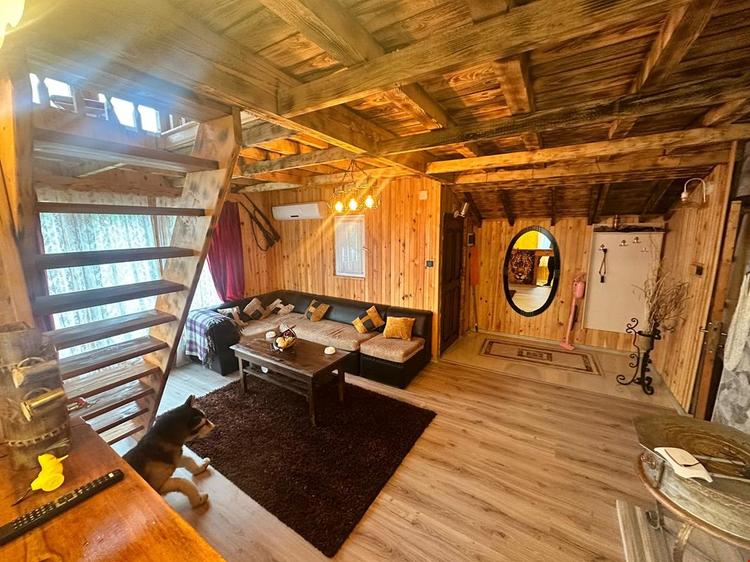 Brothers Bungalov