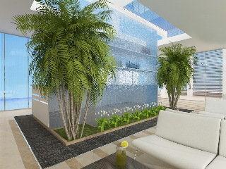Gold Island Mondo