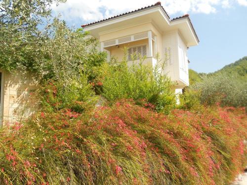 Portville Holiday Villas