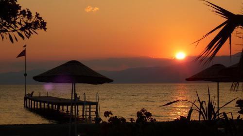 Altin Camp & Park Hotel