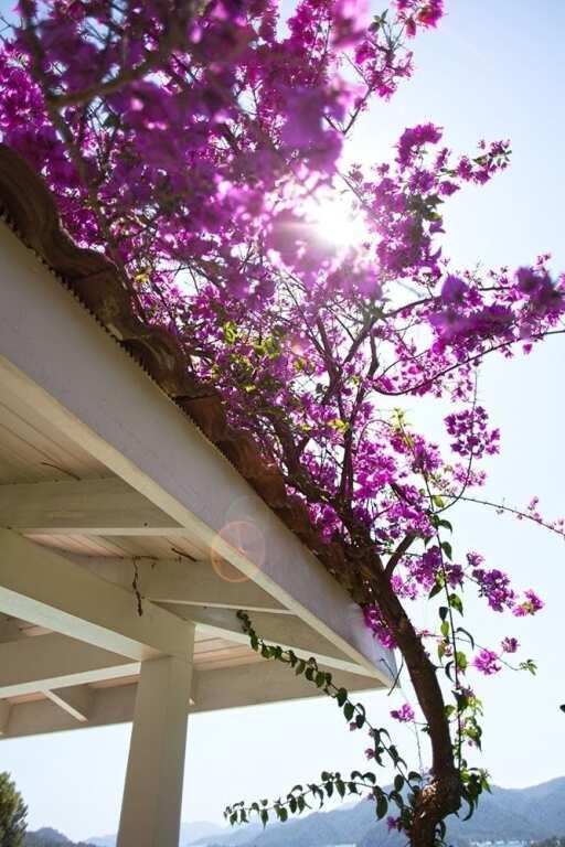Villa Mistral
