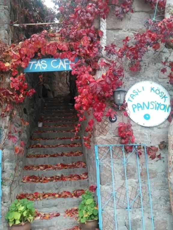 Assos Tasli Kosk