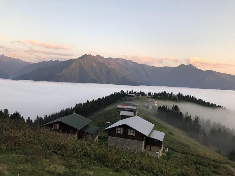 Tanevit Dag Evi