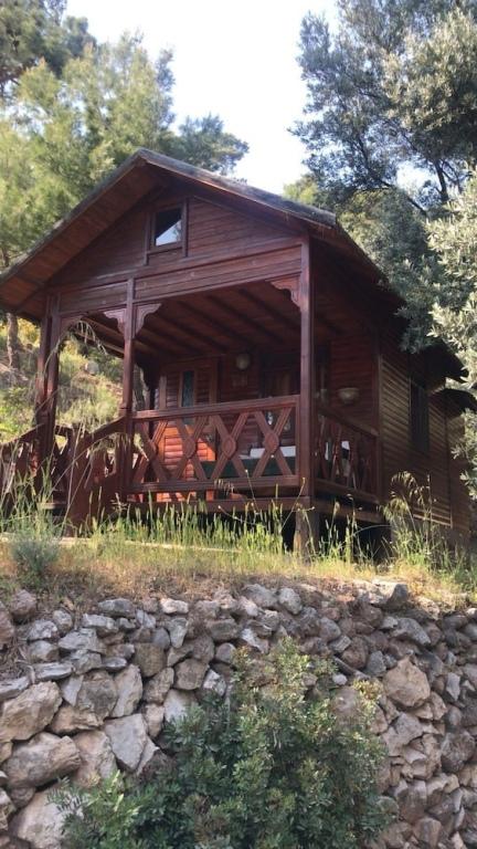 Shambala Lodge