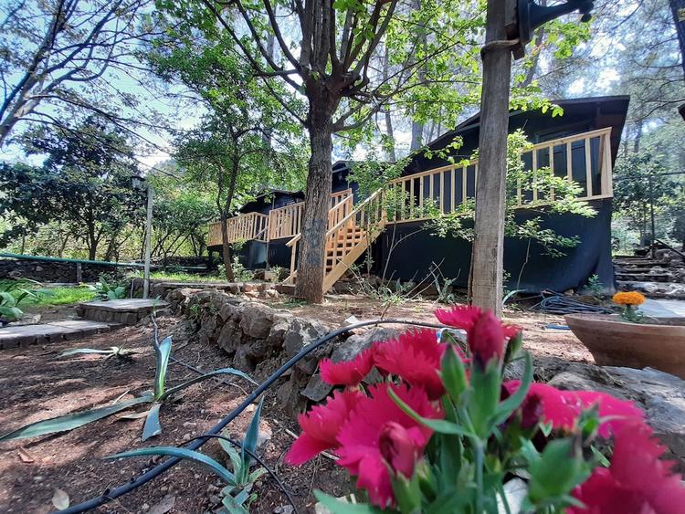 Altaris Bungalows Olympos