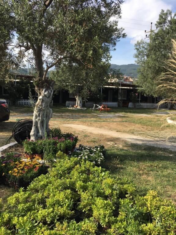 Ilgaz Motel