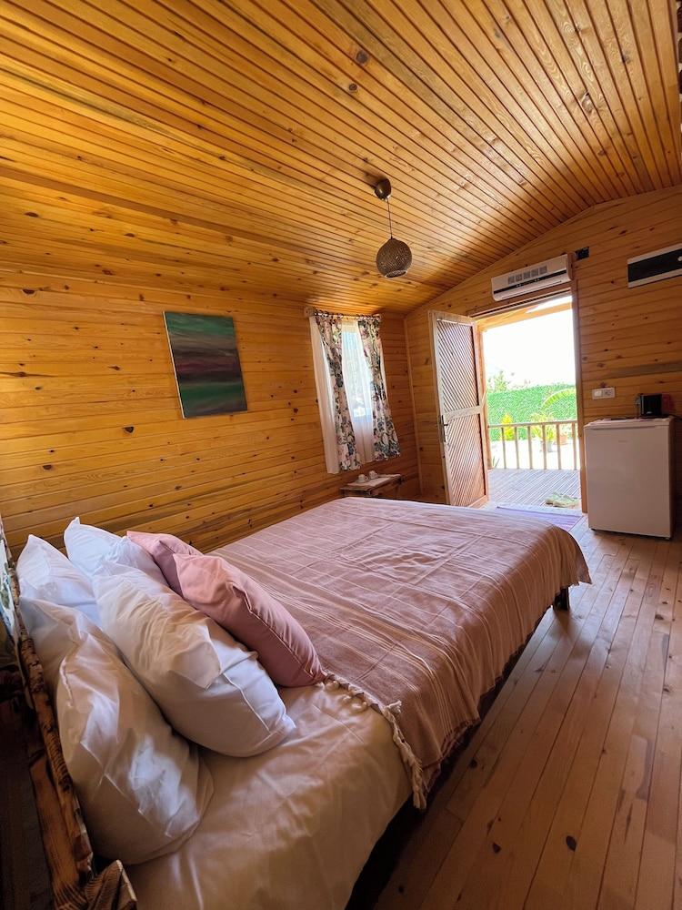 Afera Koy Evi