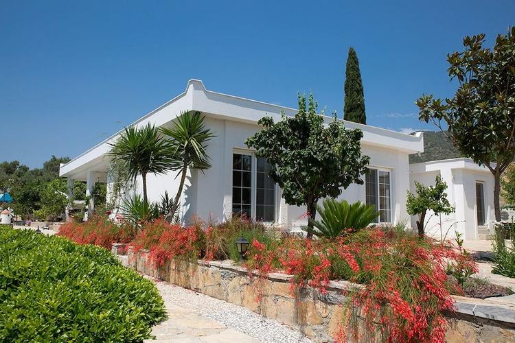 Important Group Villa Daisy