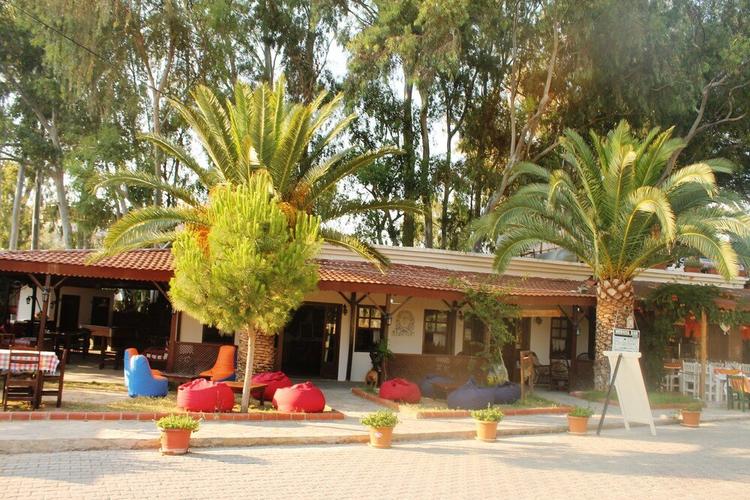 Medusa Cafe-Bar-Camping