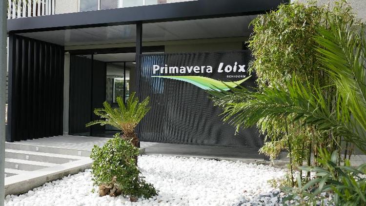 Primavera Loi