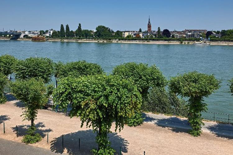 Dorint Hotel Bonn
