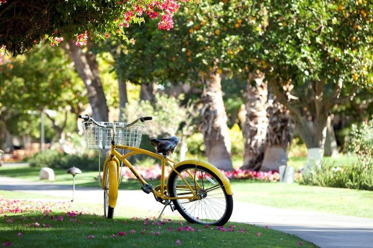 La Quinta Resort & Club,Curio Collection by Hilton