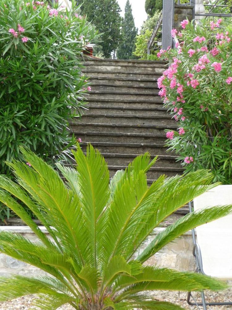 Villa dei Bosconi