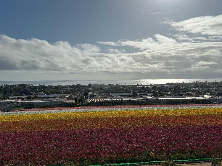 Holiday Inn Express and Suites Carlsbad Beach