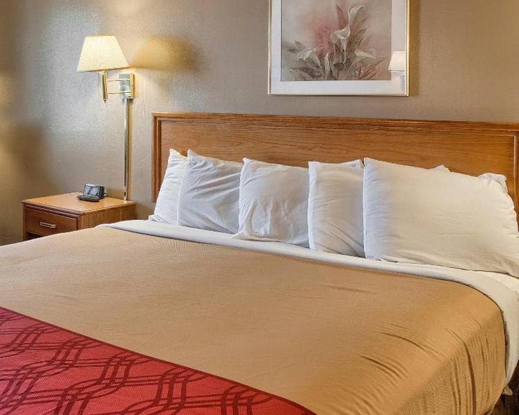 Rodeway Inn North Chesterfield
