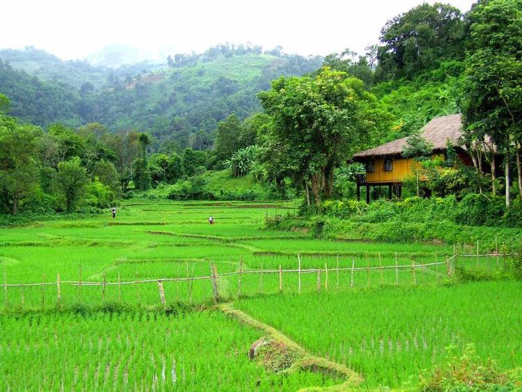 Hmong Hill Tribe Lodge Chiang Mai