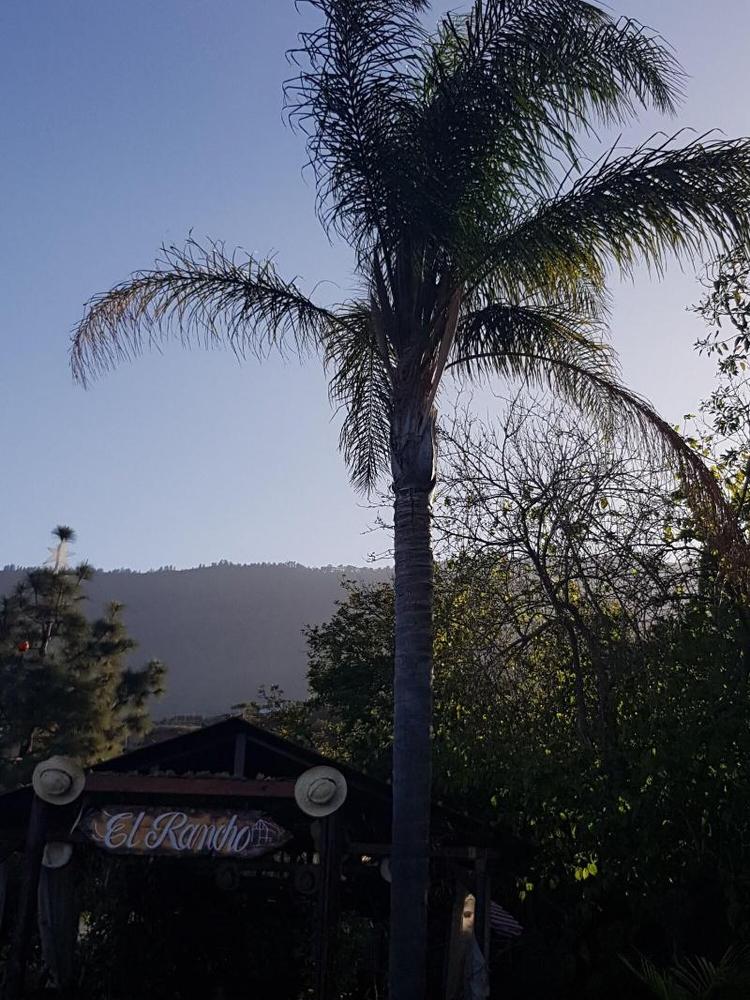 Finca la Raya