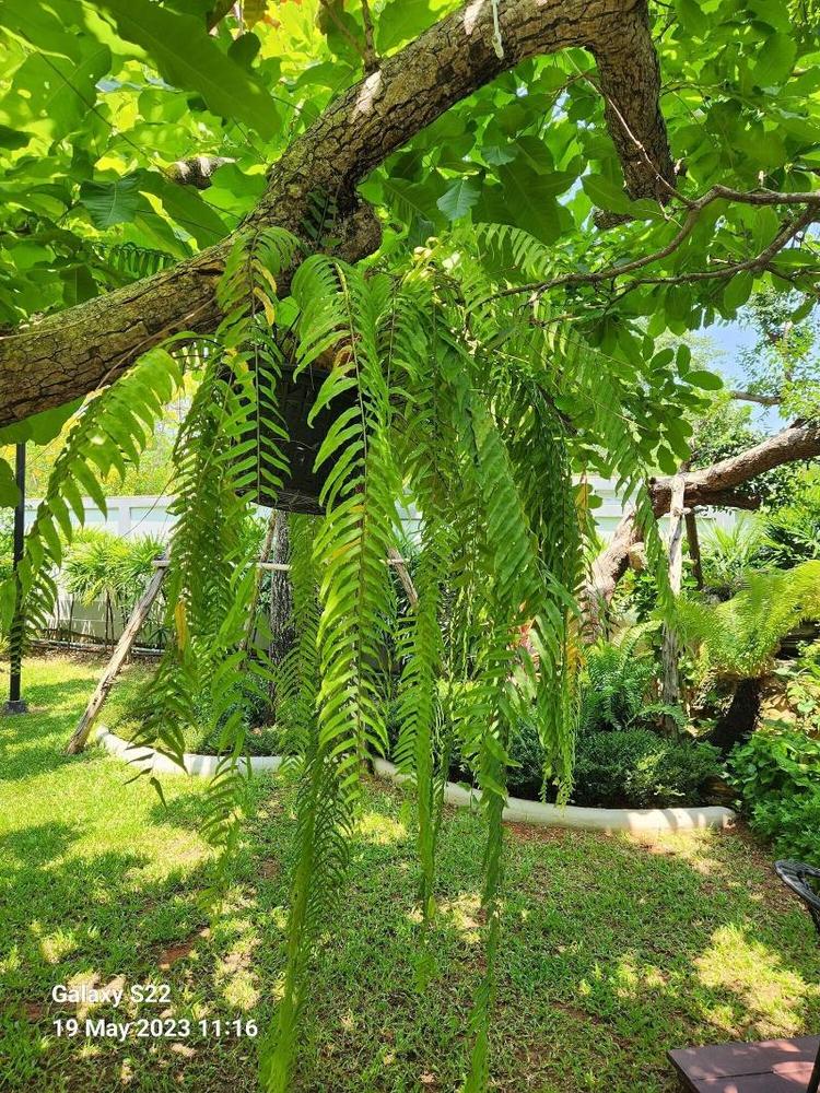 Baan Nern Khao Resort