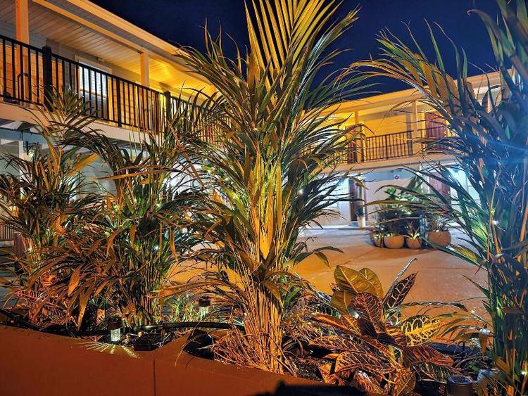 Beach 5 Villas Immaculate 300 Steps From The Ocean