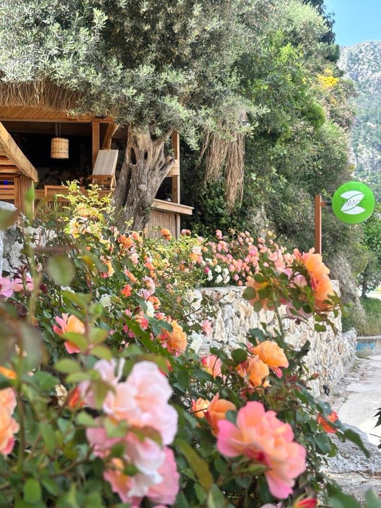 Z-villas Beach Hotel