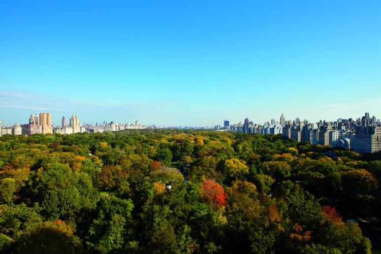 The Ritz-Carlton New York, Central Park