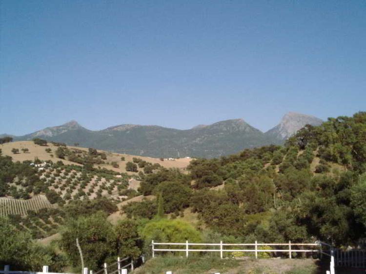 Del Carmen